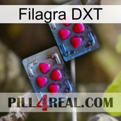 Filagra DXT 14